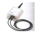 Sensore Temperatura LoRaWAN Da Esterno Image