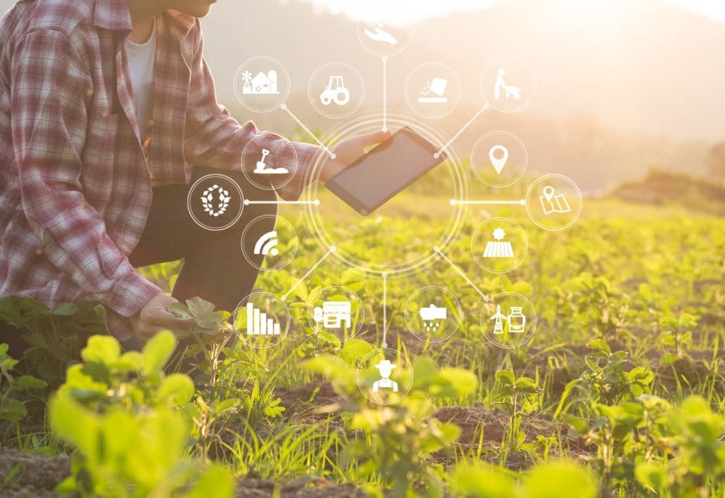 Smart Farm e Agricoltura 4.0: Soluzioni IoT LoRaWAN al Vinitaly