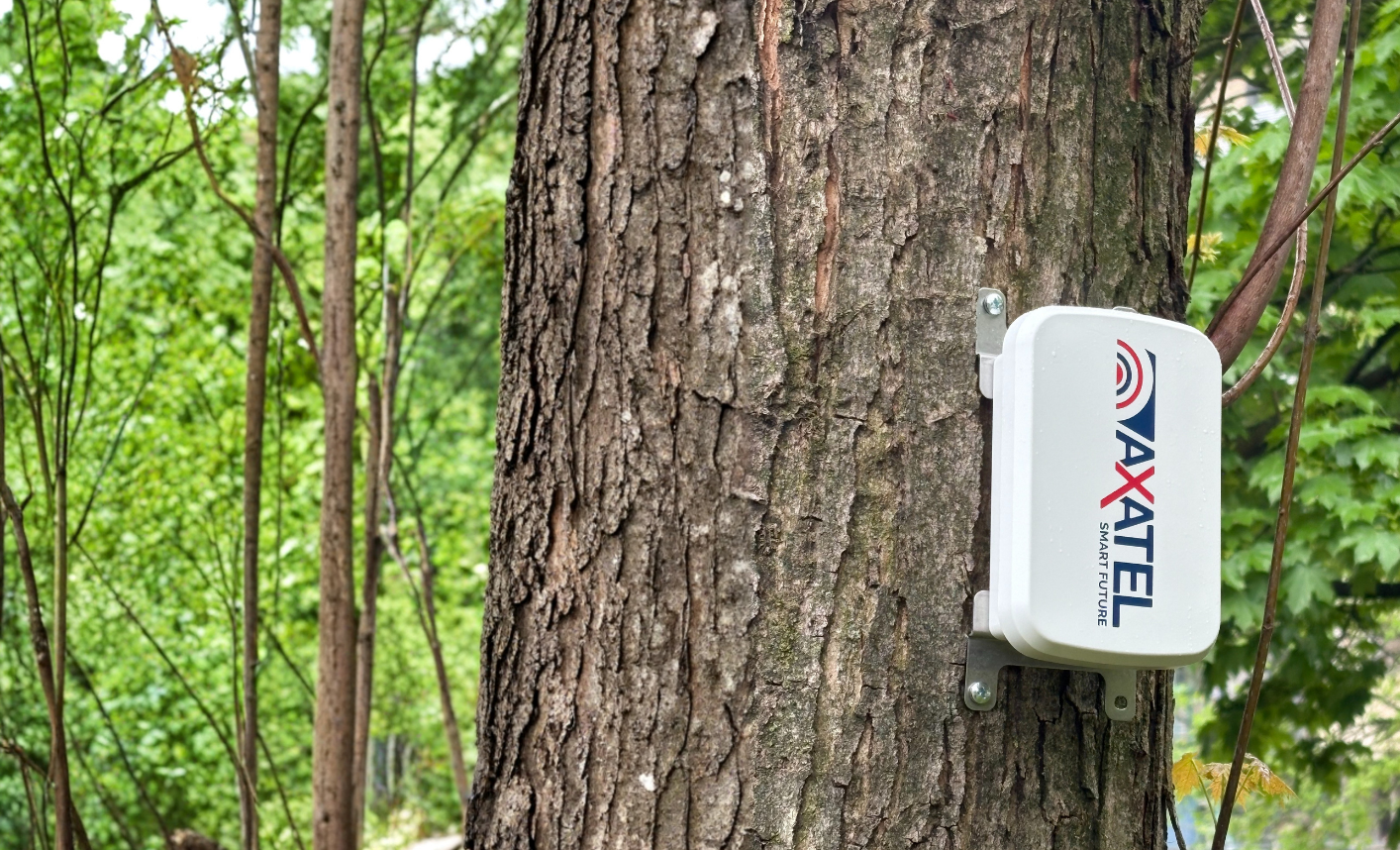 Dispositivo hardware Axatel Angel Tree installato su un tronco per il monitoraggio in tempo reale della stabilità e dell'inclinazione degli alberi.