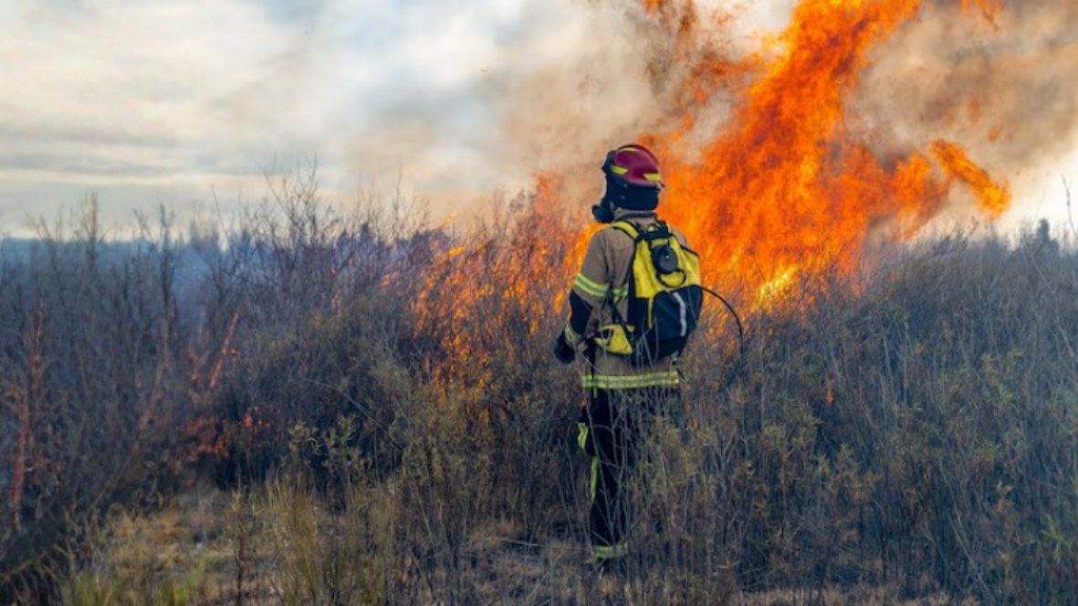 Vigile del fuoco equipaggiato mentre affronta un incendio di vegetazione sul campo, contesto d'uso del sistema di sicurezza Pocket Angel Rescue.