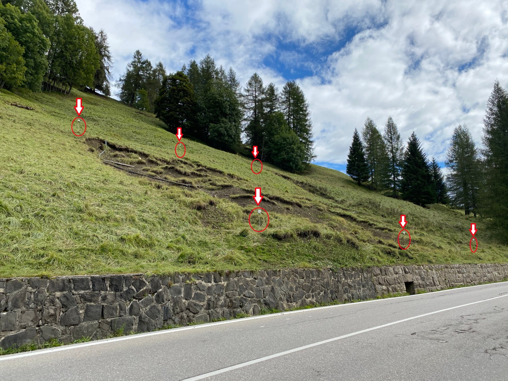 Monitoraggio Frane per VENETO STRADE – Perarolo di Cadore (BL)